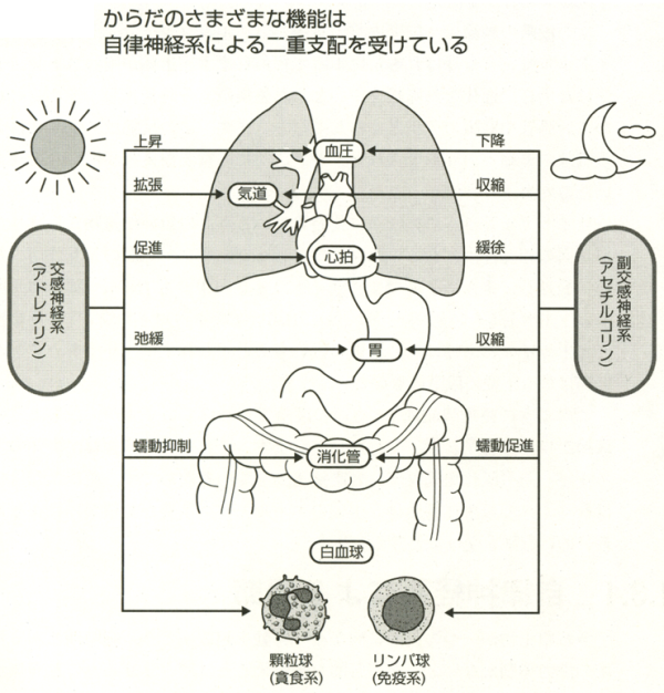 図
